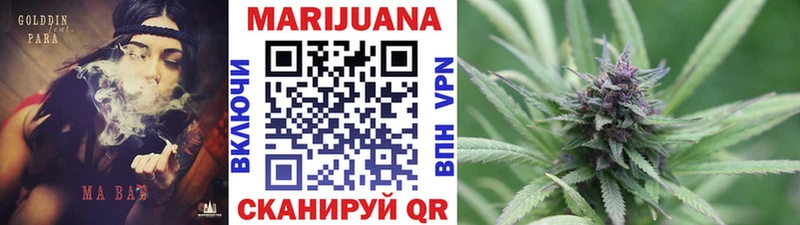 Бошки Шишки планчик  Киренск 